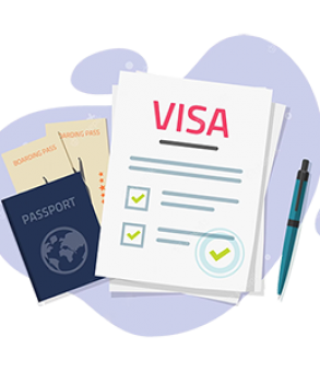 Visa processing